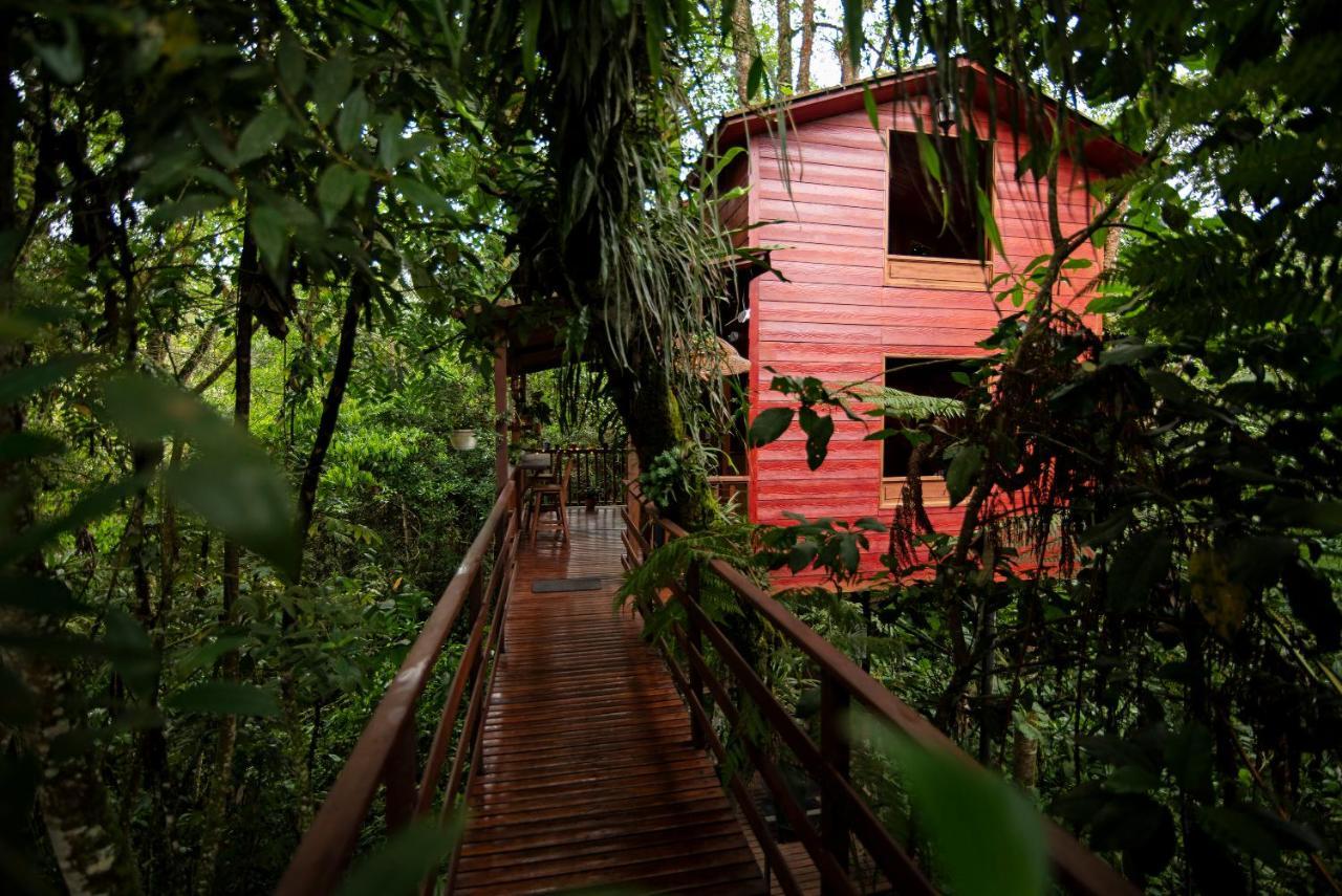 Tominejo Ecolodge - Casas En Los Arboles Neira 외부 사진