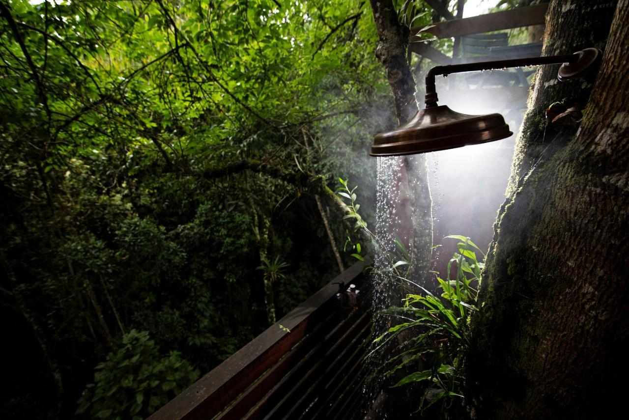 Tominejo Ecolodge - Casas En Los Arboles Neira 외부 사진