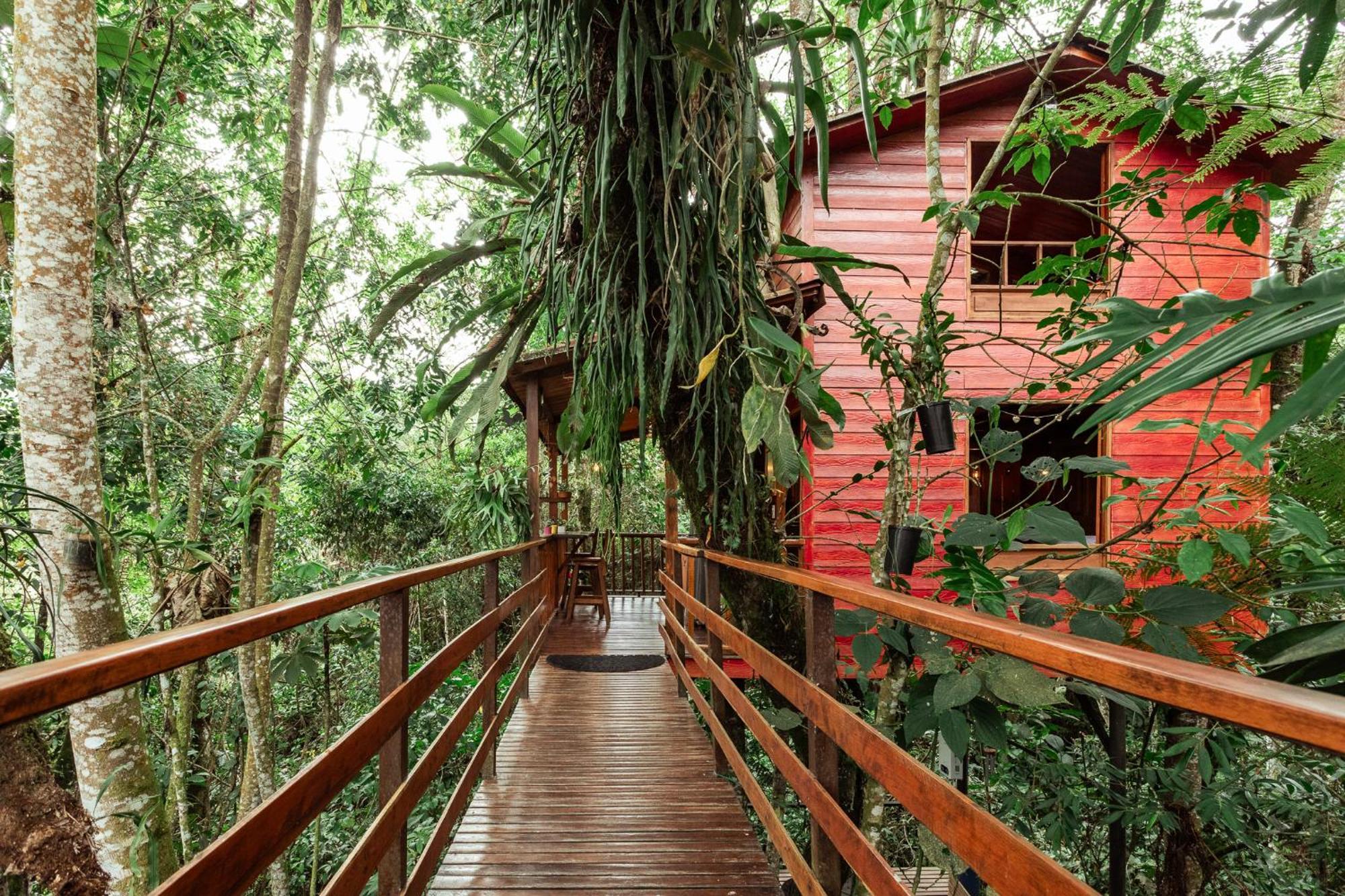 Tominejo Ecolodge - Casas En Los Arboles Neira 외부 사진