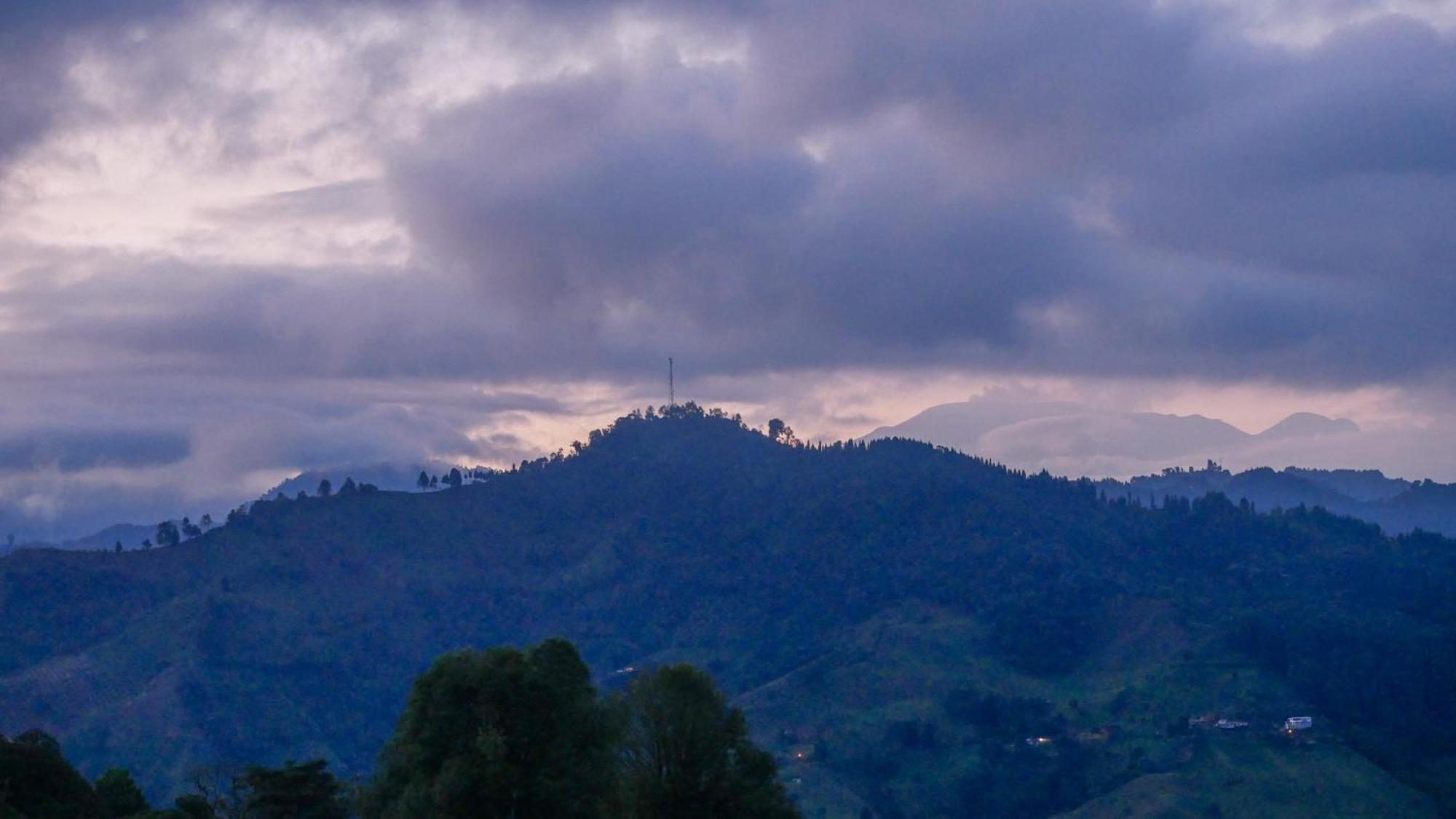 Tominejo Ecolodge - Casas En Los Arboles Neira 외부 사진