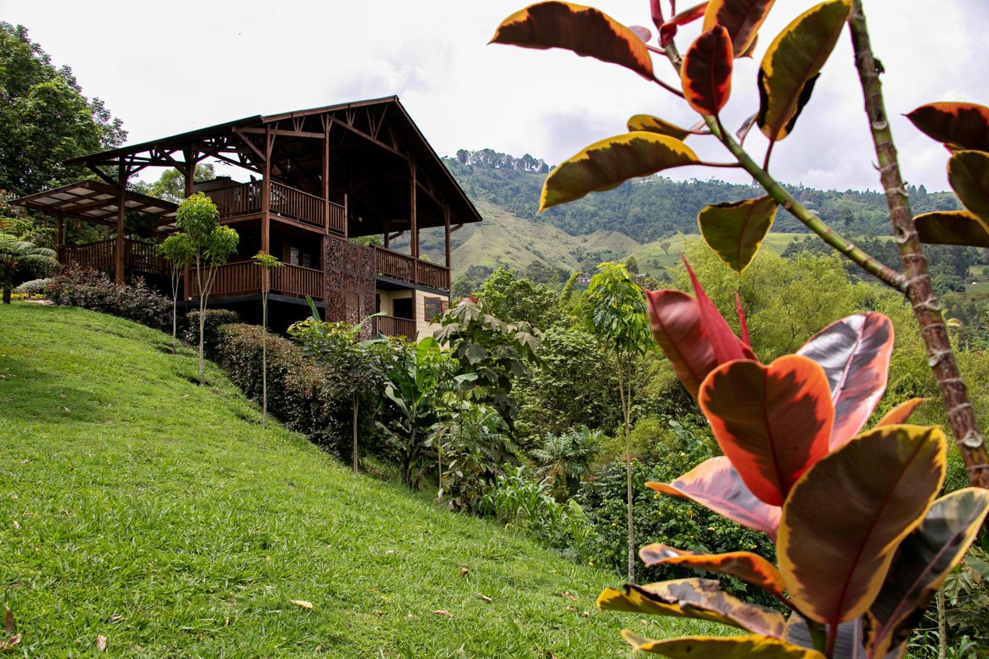 Tominejo Ecolodge - Casas En Los Arboles Neira 외부 사진
